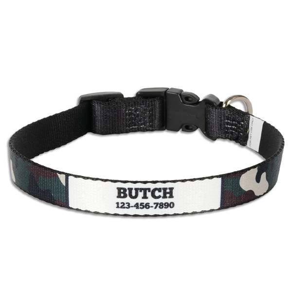 Designer collar personalized with your pets name